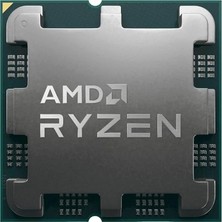 Ryzen 9 9900X